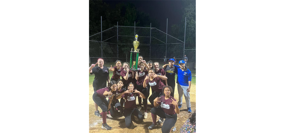 Congratulations to the Lyndhurst Little League Softball 14U Town Champs Jarvis Plumbing!!!!!  Great job girls!!!!!